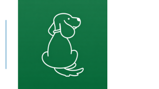 Hundeschule Glanz